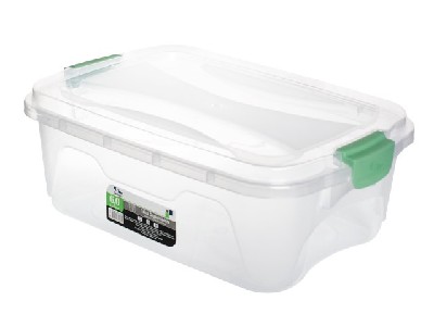 RISCHIOTO-RF0122 CAIXA ORGANIZADOR 6L(12