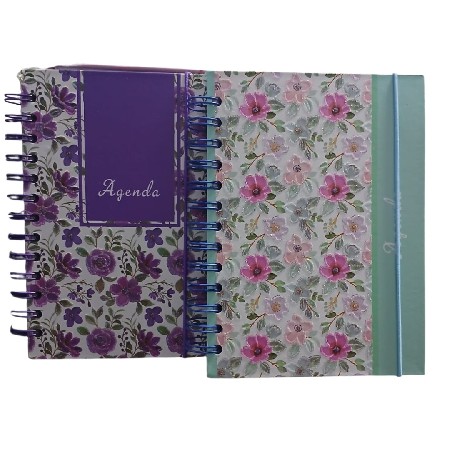 INTER-RF26066 AGENDA PERMANENTE ESTAMPA 160 FOLHAS