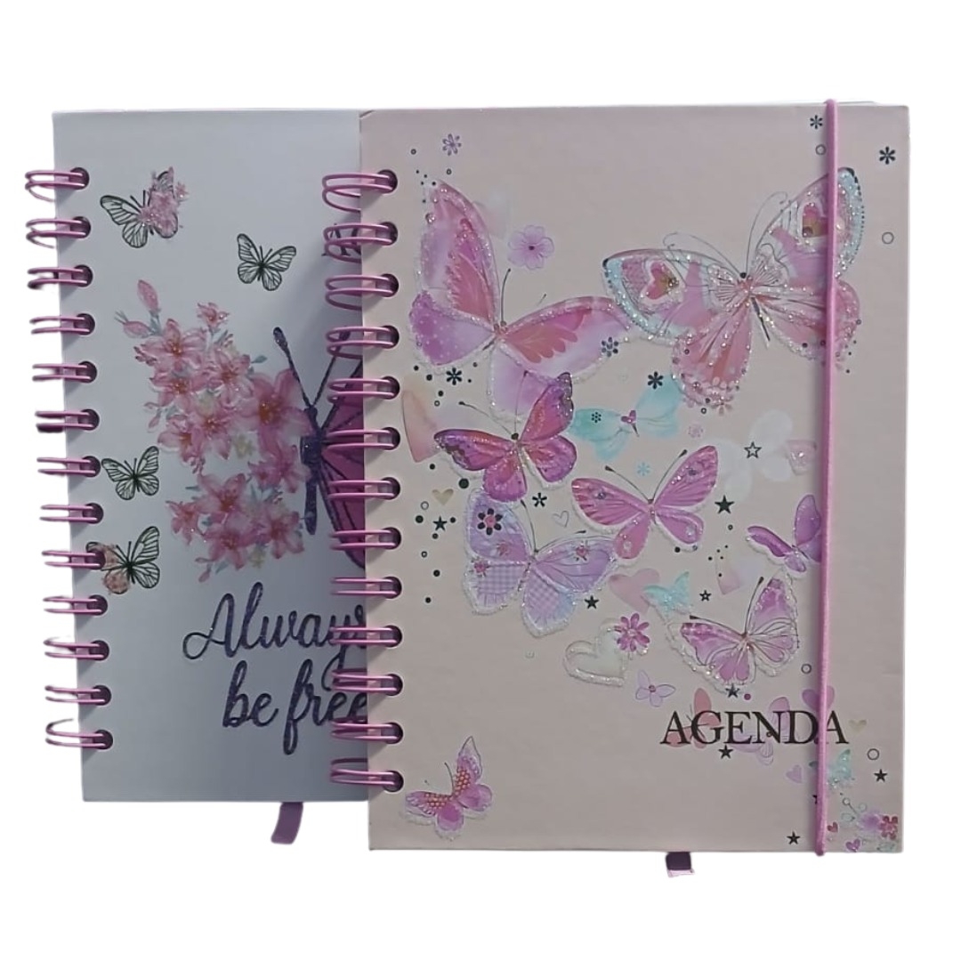 INTER-RF26064 AGENDA PERMANENTE BORBOLETAS 160 FLS