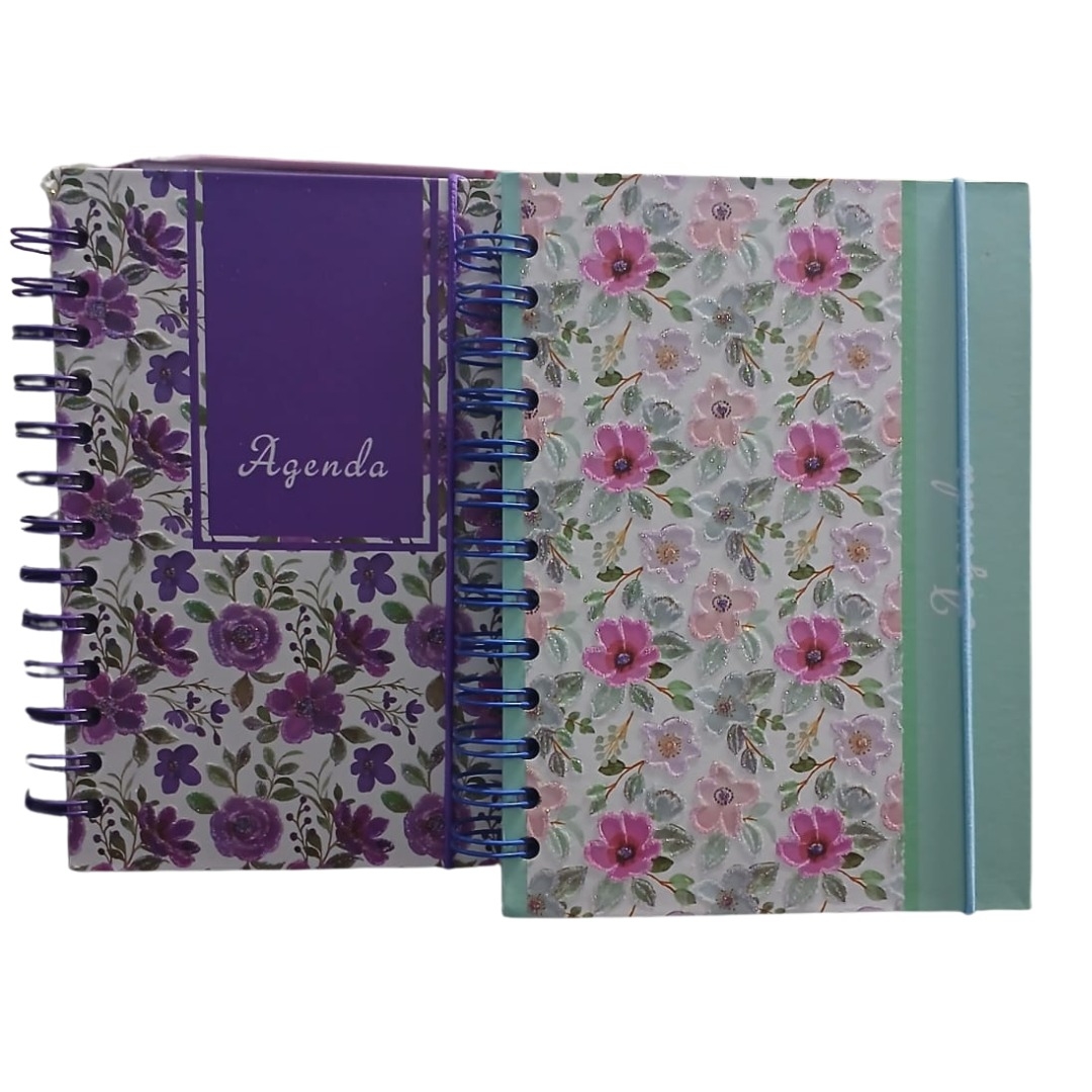 INTER-RF26066 AGENDA PERMANENTE ESTAMPA 160 FOLHAS