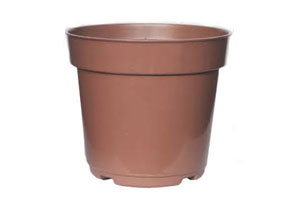 GOYAMA-RF0565 VASO COLOR P VIOLETA 11 CM