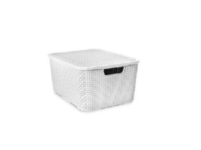 ARQPLAST-RF25591 ORGAN RATTAN C/TPA 15 L BRANCO