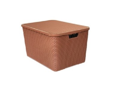 ARQPLAST-RF25602 ORGAN RATTAN C/ TPA 40 L MARROM